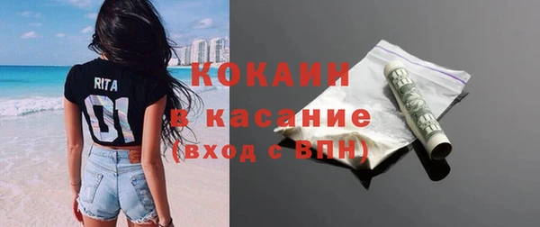 хмурый Алексин
