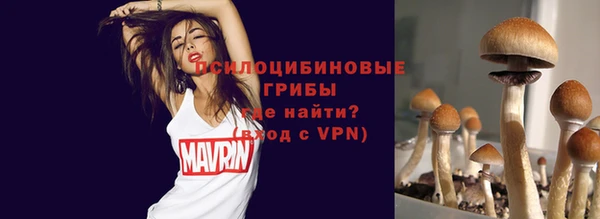 хмурый Алексин