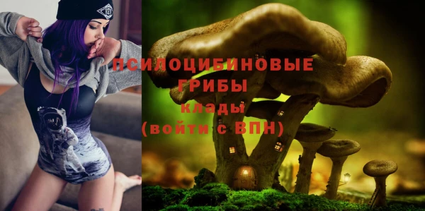 Альфа ПВП Алексеевка