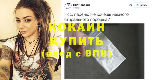 хмурый Алексин