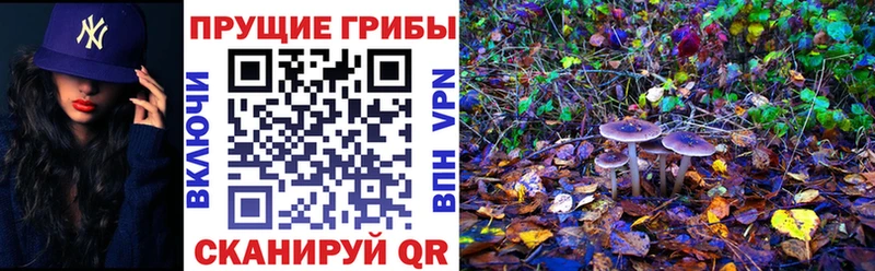 Псилоцибиновые грибы MAGIC MUSHROOMS Кольчугино