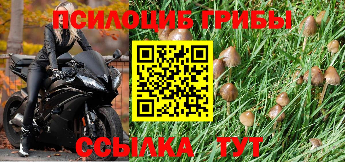 Галлюциногенные грибы Psilocybe  Галлюциногенные грибы GOLDEN TEACHER  Кольчугино  Вход с VPN 