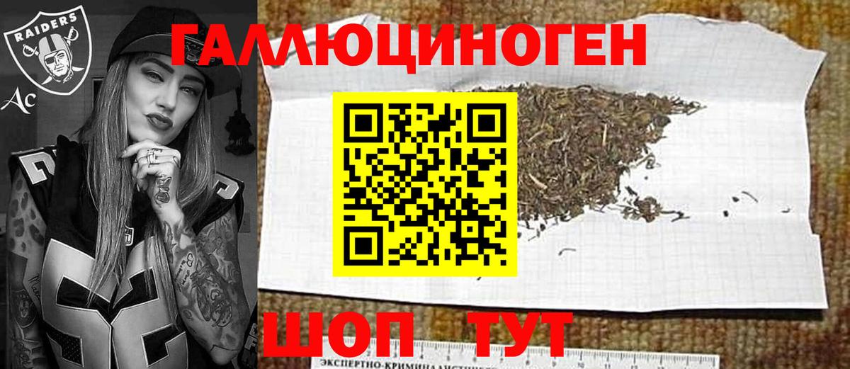 Галлюциногенные грибы Psilocybe Кольчугино