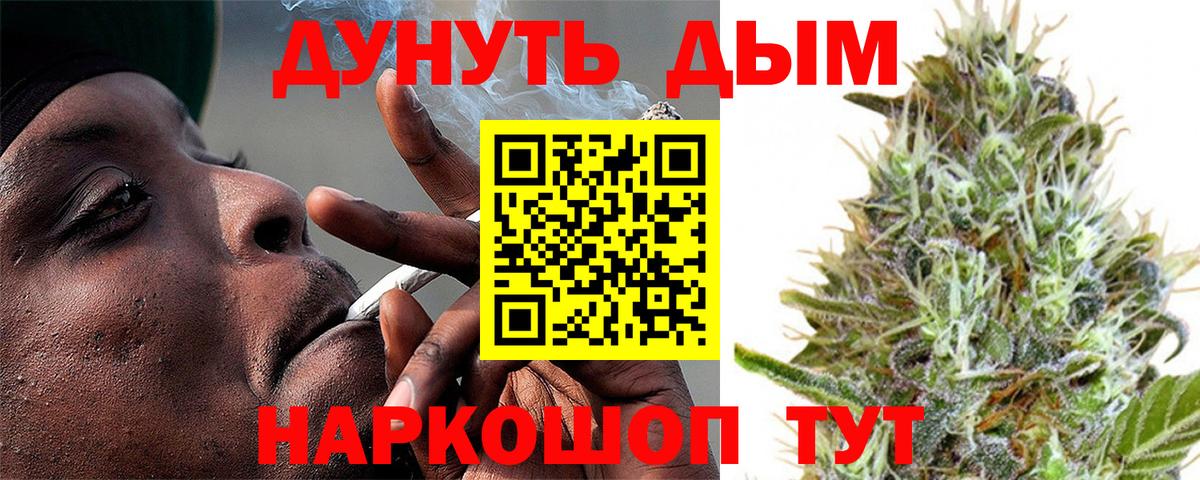 МАРИХУАНА конопля Кольчугино